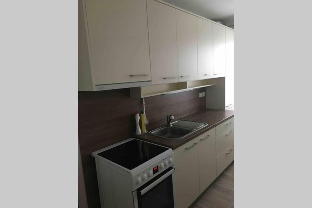 Family Apartment With Garden And Parking Spot Чешка Будьовица Екстериор снимка
