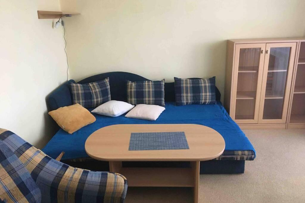 Family Apartment With Garden And Parking Spot Чешка Будьовица Екстериор снимка